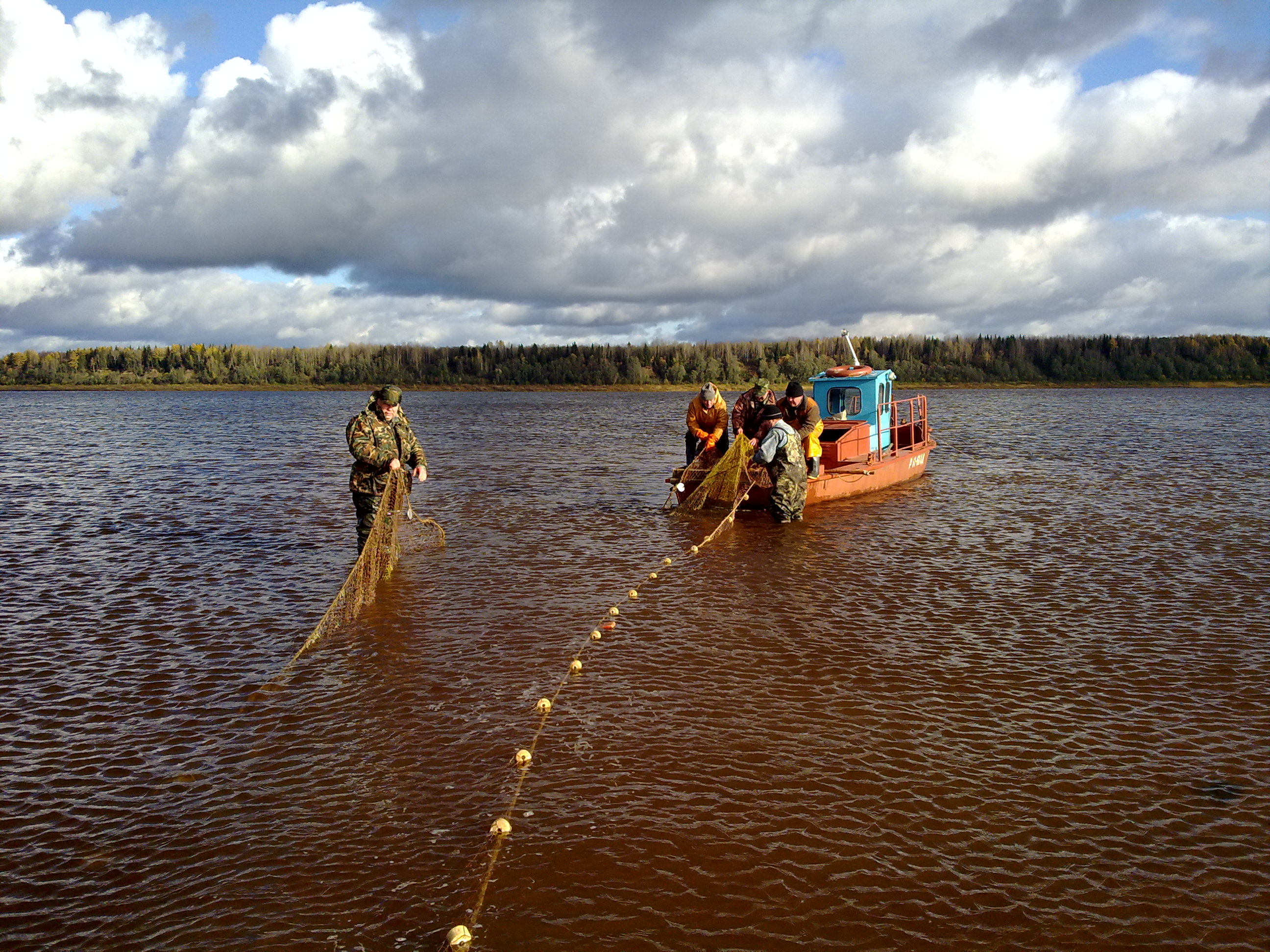 Итоги промышленного рыболовства на р. Северная Двина за 2025 г.